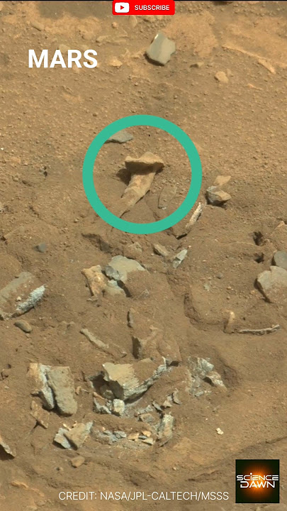 Mars view Curiosity @sciencedawn