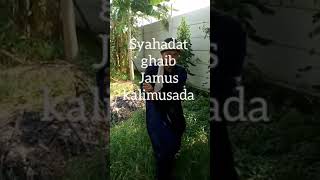 SYAHADAT JAMUS KALIMUSADA SUNAN GUNUNG JATI PENARIKAN BENDA PUSAKA KERIS NAGA RIKSA SYAHADAT JAMUS KALIMUSADA SUNAN GUNUNG JATI PENARIKAN BENDA PUSAKA KERIS NAGA RIKSA