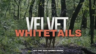 Velvet Whitetails 2024! Let the games begins!