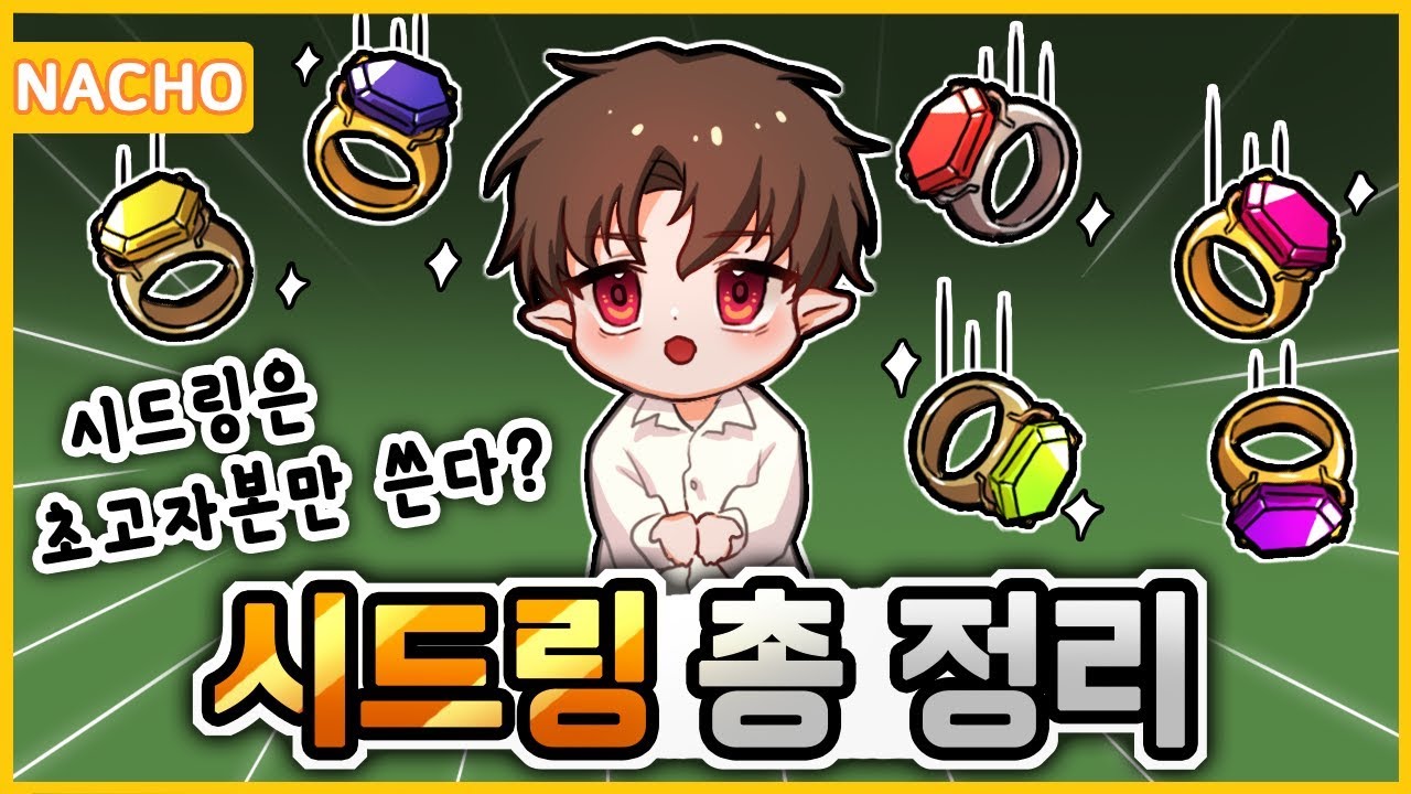 고자본만 쓴다? 『시드링 총 정리』 「나초」