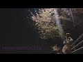 Heartache/ONE OK ROCK cover古川愛理
