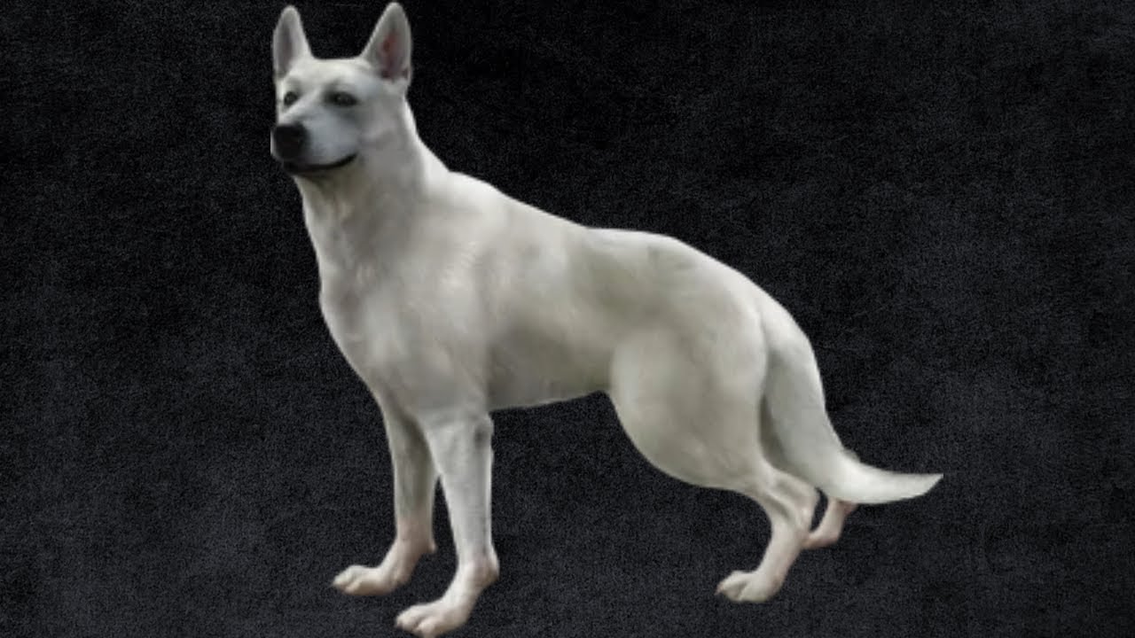 Роль Хьюи в фильме «Призрачная земля»