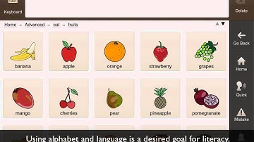 Avaz for Autism 2.0 - Multiple Picture & Caption sizes