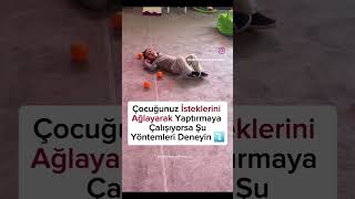 Çocuğunuz Ağlayarak Isteklerini Yaptırıyorsa