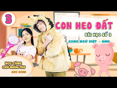 Con Heo Đất - Song ngữ Việt Anh - Học Cùng Nhím Tây | Tập 3