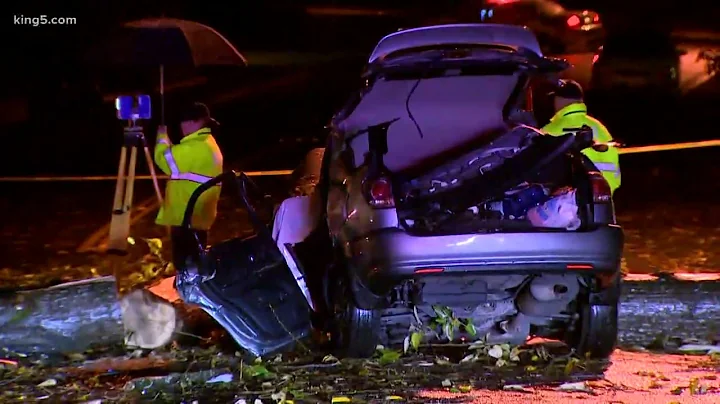 Woman killed after tree falls on car