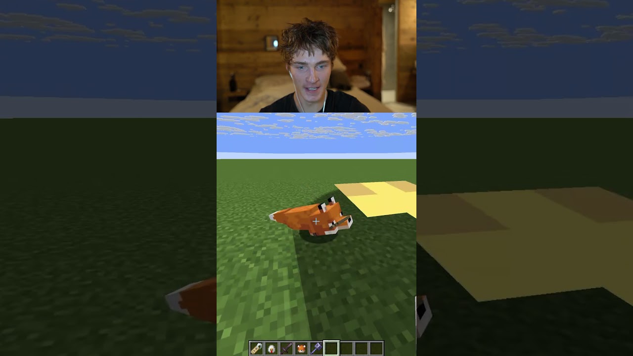fox vs large chicken...