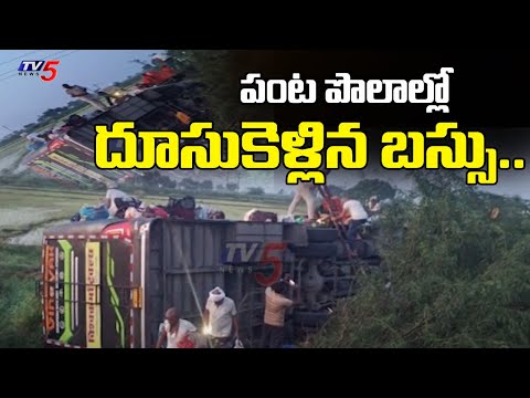 పంట పొలాల్లో దూసుకెళ్లిన బస్సు...Bus Over Turned And Rushed Into Paddy Feilds Near Guntur | TV5 News - TV5NEWS