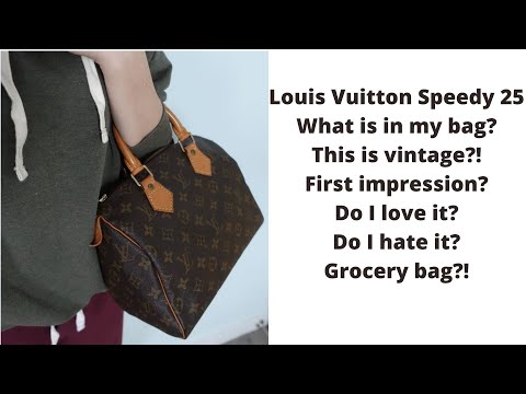 Vintage Louis Vuitton Epi Speedy 25 Review