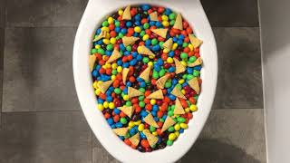 Will It Flush? - Mms And Bugles