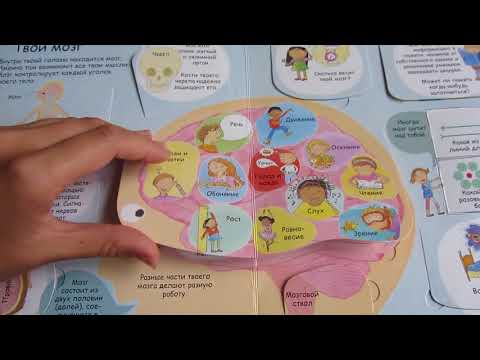 Детская энциклопедия Секреты человека