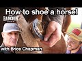 How to shoe a horse with Brice Chapman - Just Ranchin 9