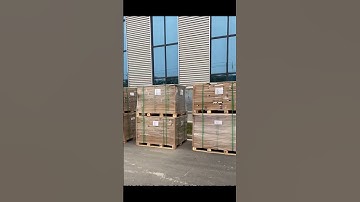 💬🌟Hear What Our Customers Have to Say About Our International Freight Forwarding Services!🤝#shipping