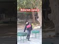 Balaram palace resort part2#