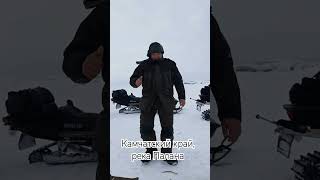 🎣Обалденная зимняя рыбалка на корюшку!🎣    #камчатка #зубарь #корюшка #подлёдныйлов #махалки