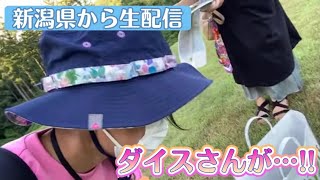 なんと！ダイスチャンネルのダイスさんが会いに来てくださった…！日本一周の旅！新潟県から生配信！遺跡を見たい！