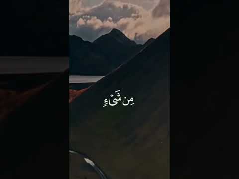 قدر الله ماشاء فعل