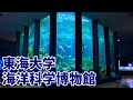 【東海大学海洋科学博物館】一般公開終了前にじっくり回ってみた【清水区三保】