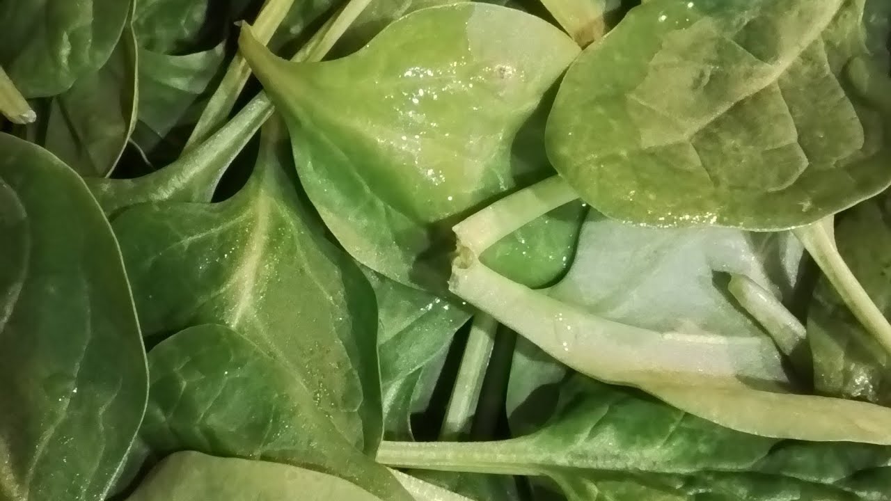 NAGLULUTO-LEFT OVER PORKCHOP WITH KAMATIS AND SPINACH for my lunch #delicious #lunch | 2-24-26