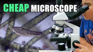 Marketplace Microscope Vs Stinky Pond Water