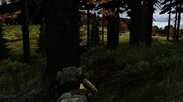 DayZ INSTANT KARMA