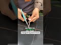 Propagate Fig Cuttings Easily 🌿