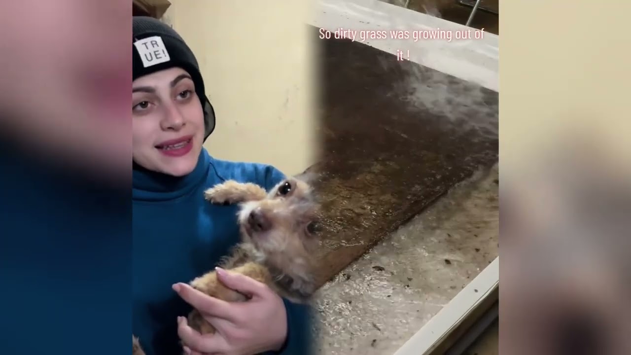 ..مجموعة فيديوهات مضحكة، أفضل مدونة، أحب عملك@hdeel