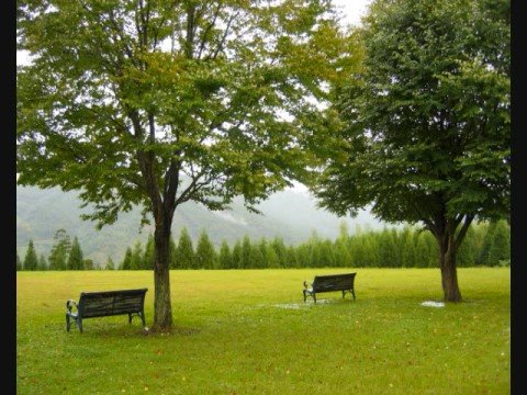 水玉模様 相曽晴日のカバーピアノ弾き語り