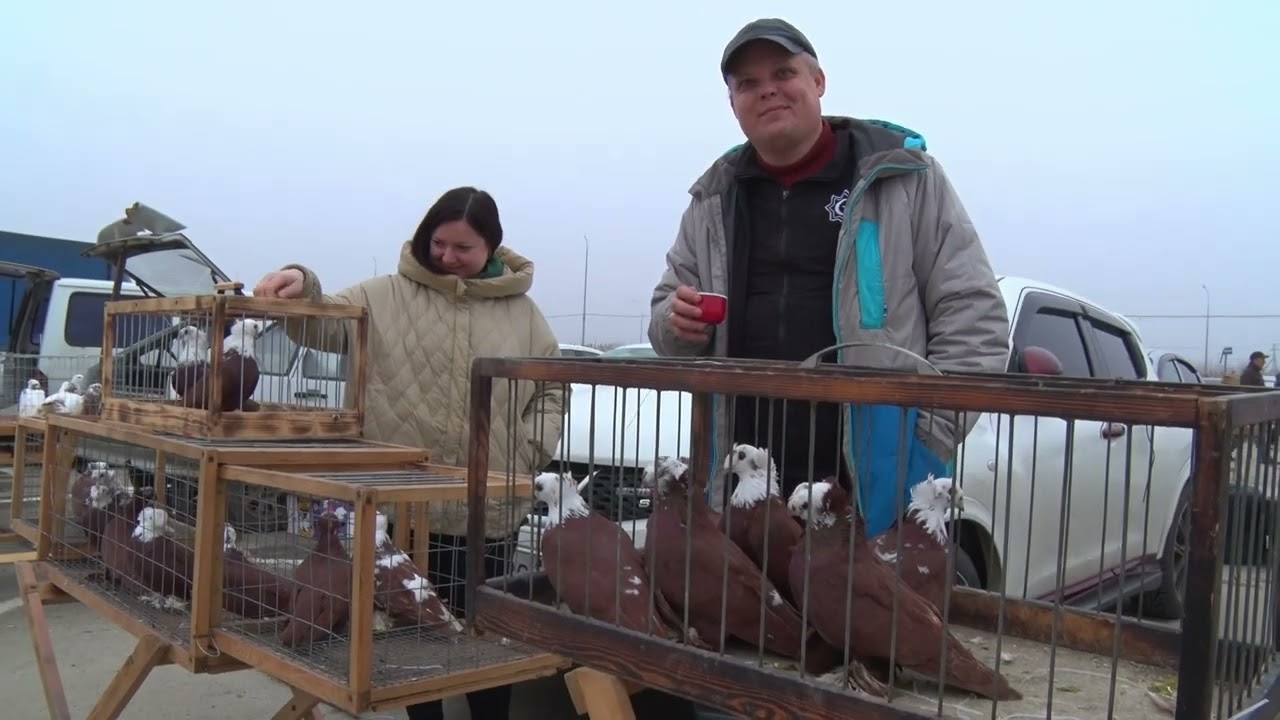 Птичий рынок. Славянск-на-Кубани. [15.02.2026]