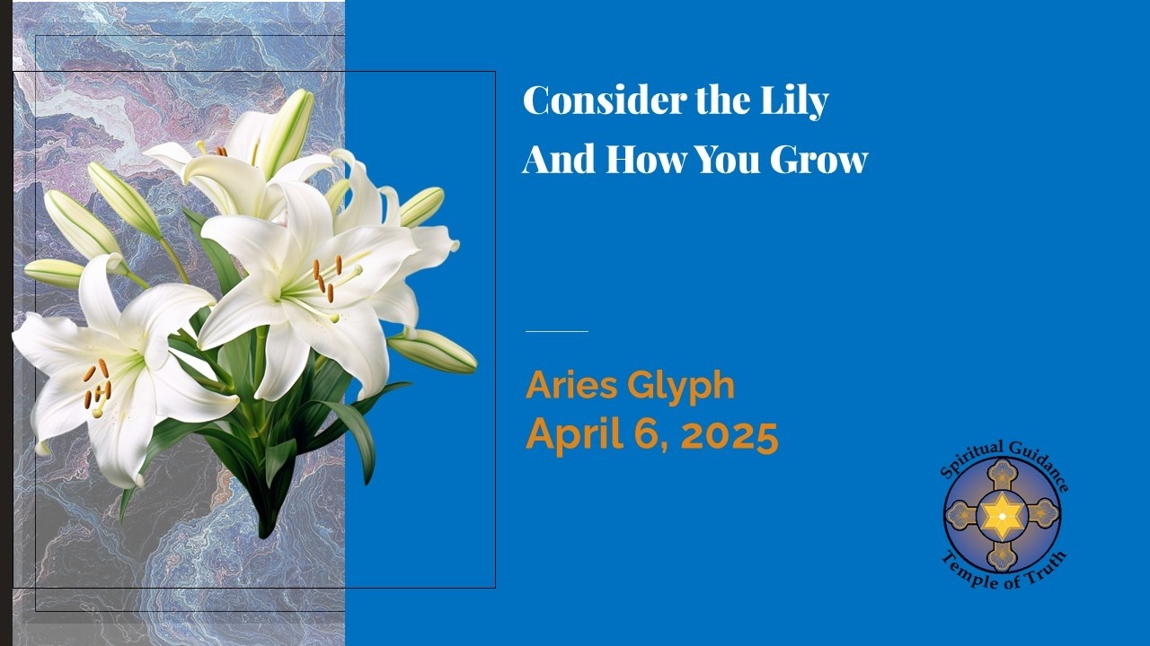 The Joy of Divine Energy: Harnessing the Lily's Power for Spiritual Growth #SpiritualJourney