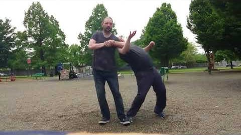 八卦掌 | ☯️ Bagua Zhang eight diagram boxing☯️ - applications of the Ba Mu Zhang - PART VII