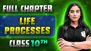 Life Processes FULL CHAPTER | Class 10th Science | Chapter 5 | Udaan screenshot 5