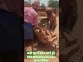 #viral