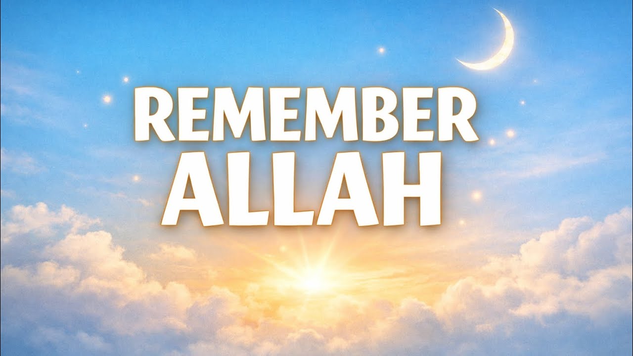 Tq All✨Allah never tests you Alone/Islamic Reminder 🎁