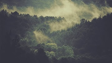 Sim city build it crashed