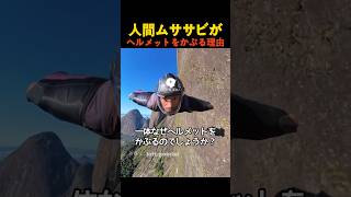 人間ムササビがヘルメットをかぶる理由