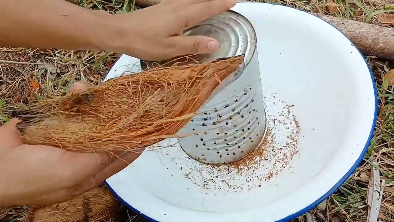 Fibra de coco sustrato para tus plantas y enraizar esquejes.