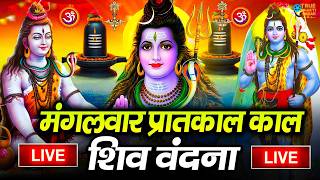 LIVE शिव भजन स्पेशल आज के दिन शिवजी की यह वंदना सुन लेना आपकी हर इच्छा पूरी हो जाएँगी | शिव भजन 2024