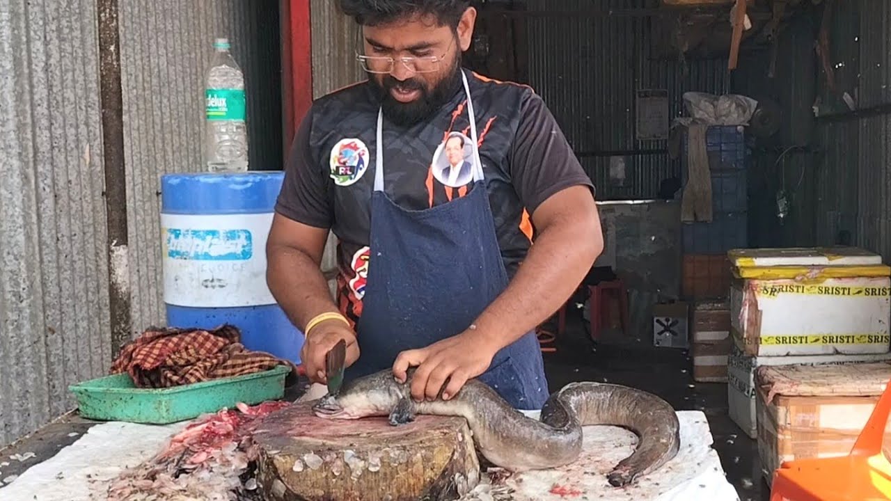 Popular Tambu Eel Fish!!! Eel Fish Cutting Video By Mh Fish Cutting ...