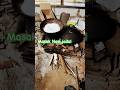 Masak Nasi Jadul #budayanusantara