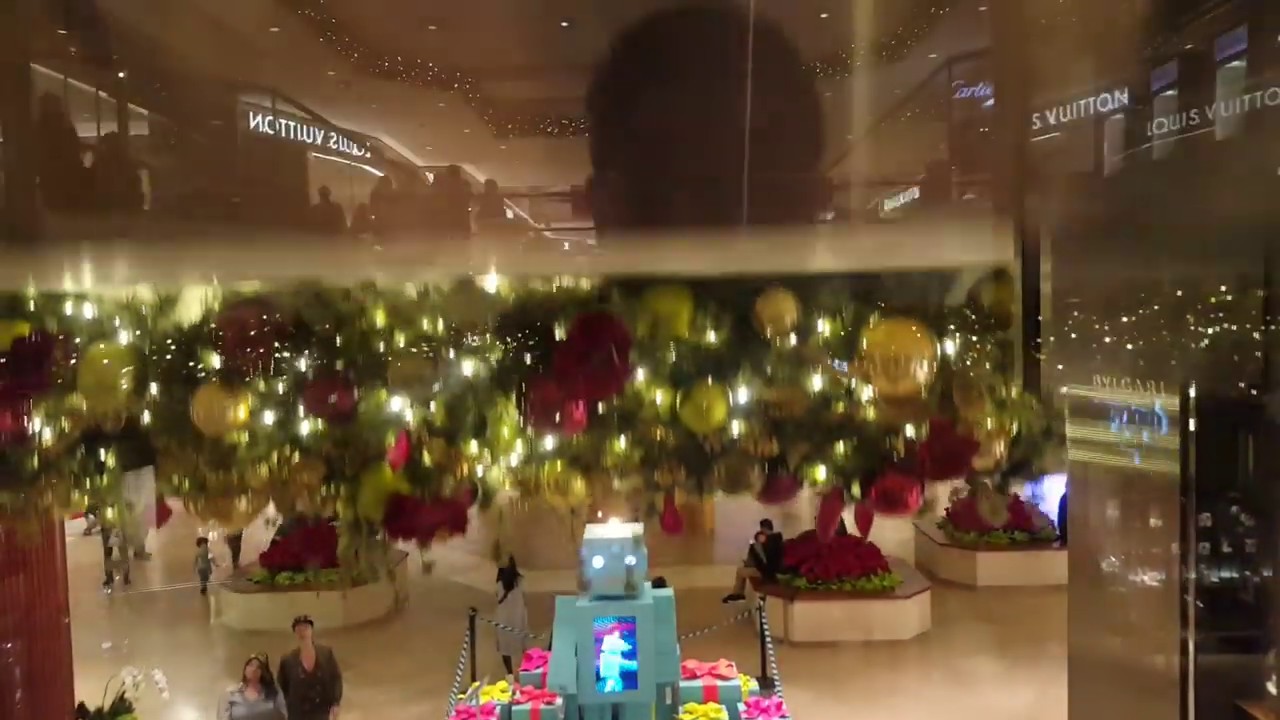 Custom Mitsubishi Hydraulic Scenic Elevator at South Coast Plaza, Costa Mesa CA