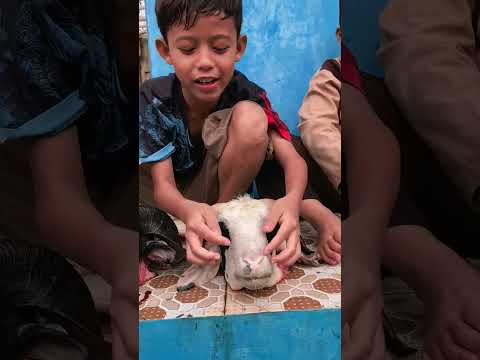topeng kambing <strong>mu</strong> bisa apa #shorts