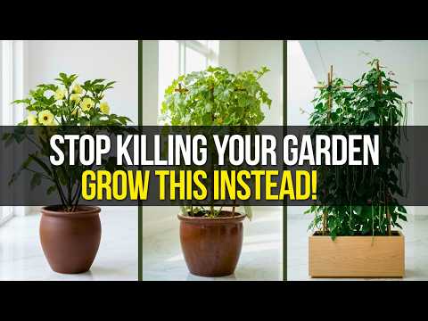 These 8 Vegetables Grow Like Crazy in Extreme Heat (Most Gardeners Don't Know This)
