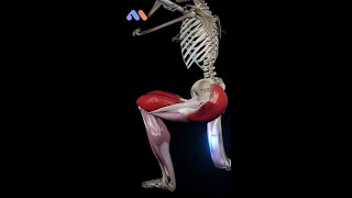 🎥✨ Check out the front-loaded reverse lunge with our latest animation! 💪
