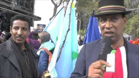 Faces & Voices of Courageous Eritreans from New York (Oct 29, 2015): Veterans – Part 5