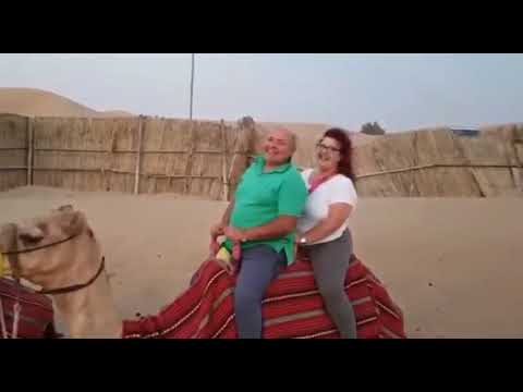 Wideo: Garby wielbłądów nie są napełnione wodą