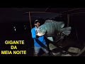 A NOITE SÓ DA TILÁPIA BRUTA!!! Tilápia Gigante e Peixe Frito!!!Pescaria noturna.