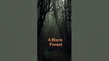 Top 5 most Dangerous forest🌲 in the world#short