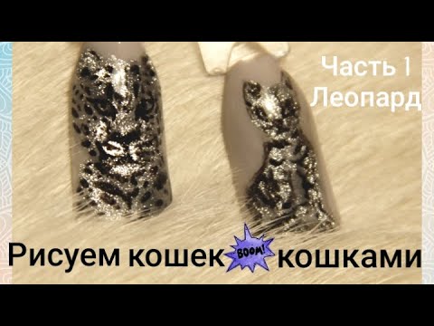 Video: Cat Nails: Hvordan Stoppe Før Du Treffer Raskt