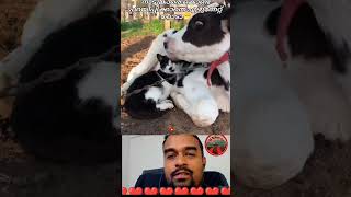 നാട്ടുകാരെ കൊണ്ട് പറയിപ്പിക്കാൻ😂😂